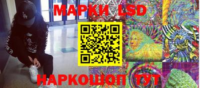 крисы Тулун