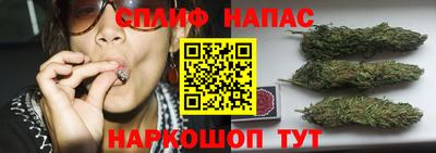 стаф Туймазы