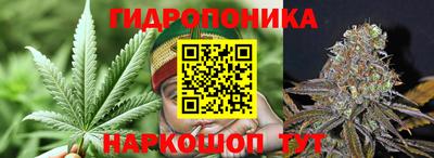 крисы Тулун