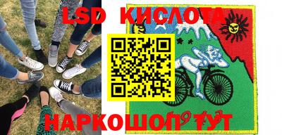 крисы Тулун
