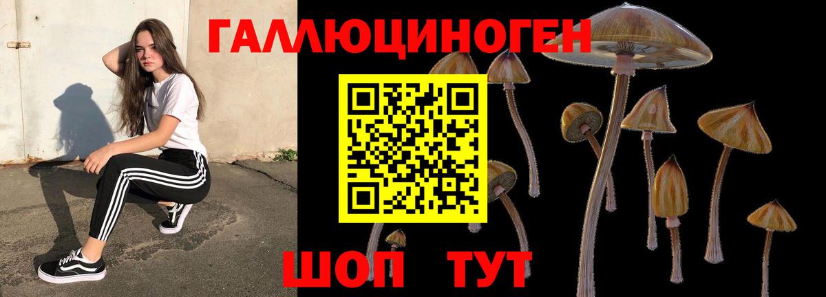Псилоцибиновые грибы Magic Shrooms Анапа