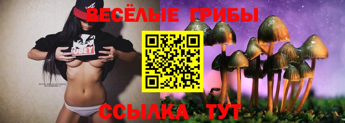 Галлюциногенные грибы MAGIC MUSHROOMS  Псилоцибиновые грибы прущие грибы  Вход с VPN  Анапа 